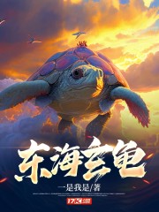 东海玄甲龟